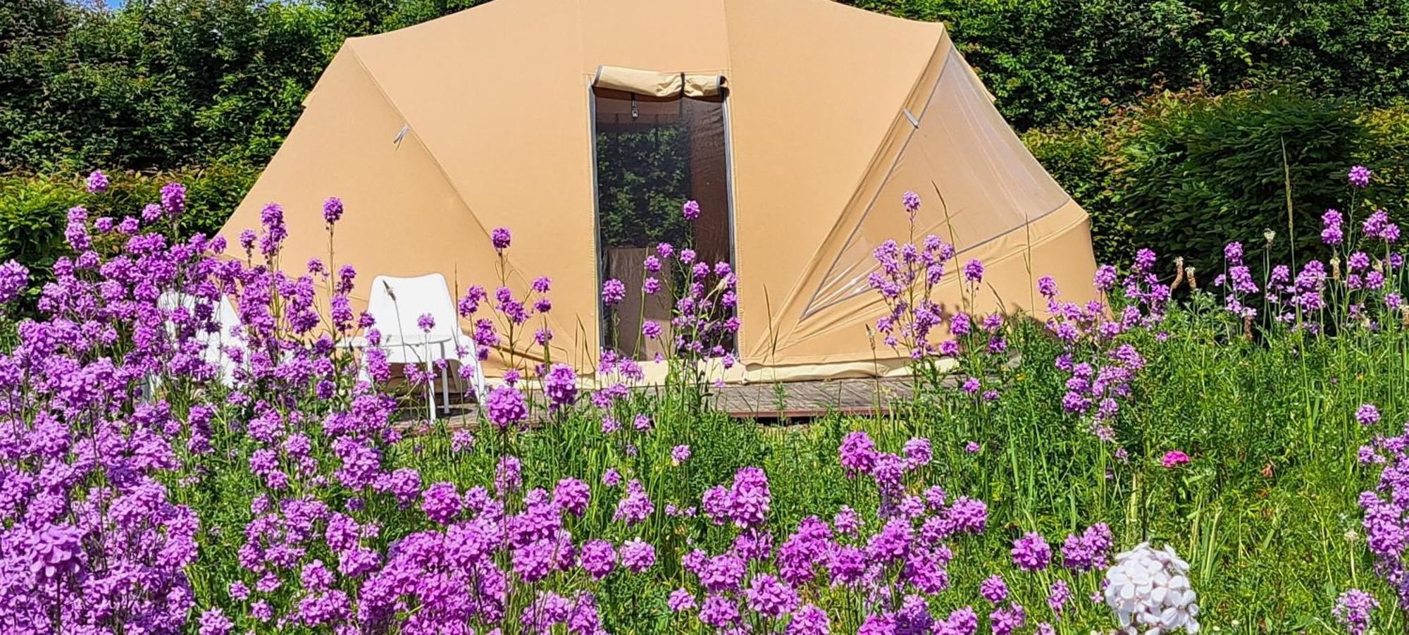 Ecochique Hotel Вестаутер Екстериор снимка