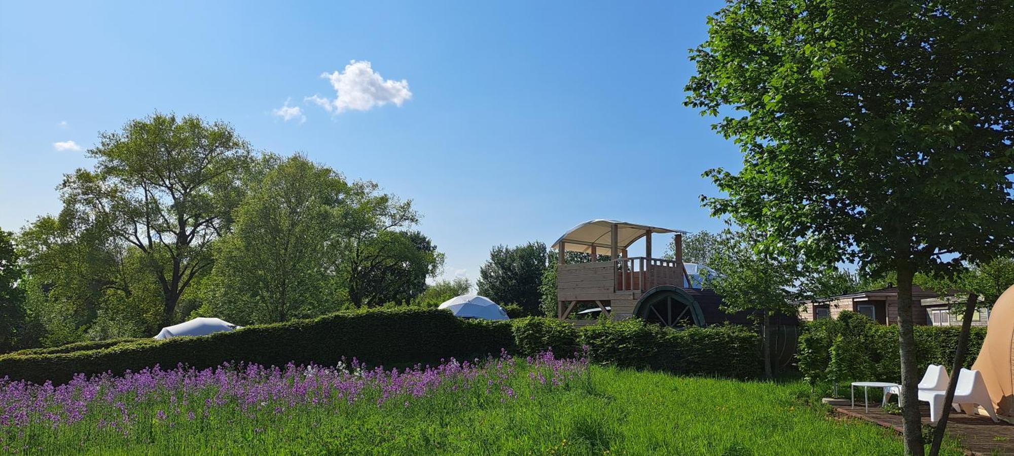 Ecochique Hotel Вестаутер Екстериор снимка