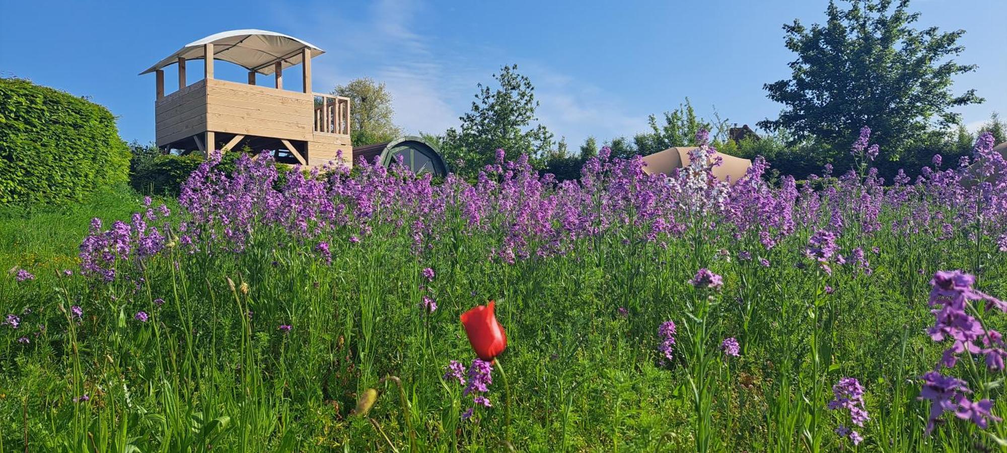 Ecochique Hotel Вестаутер Екстериор снимка