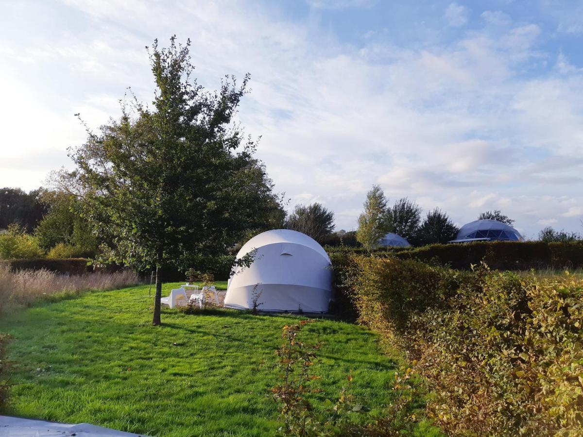 Ecochique Hotel Вестаутер Екстериор снимка
